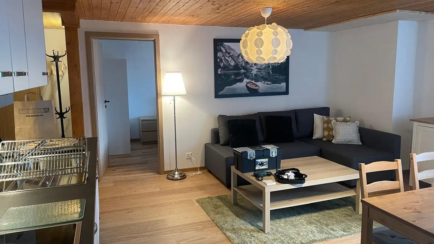 Appartamento in affitto - Route Du Pillon, 1865 Les Diablerets - Photo 2