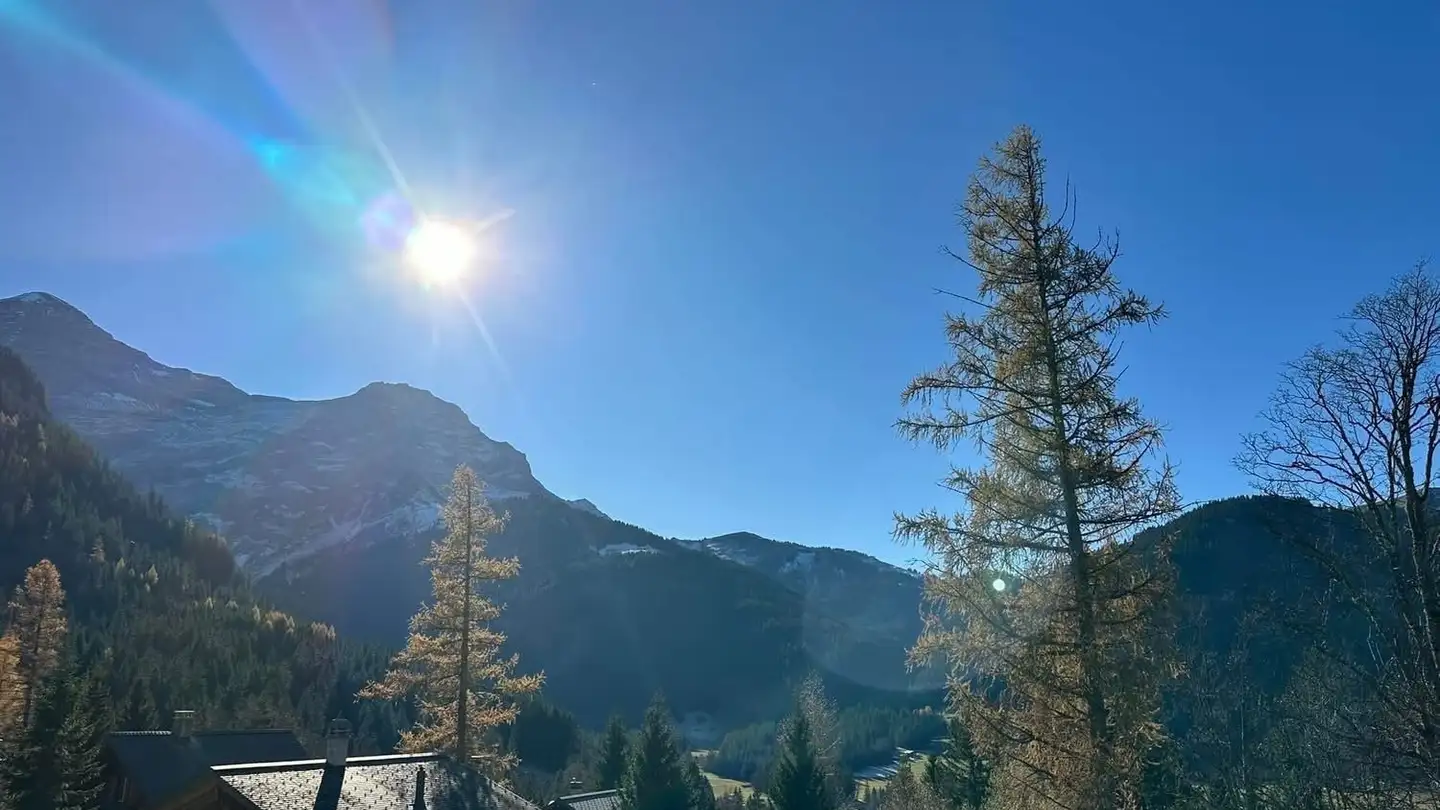 Appartamento in affitto - Route Du Pillon, 1865 Les Diablerets - Photo 4