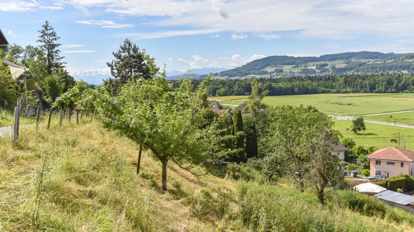 Terreno edificabile in vendita - 5704 Egliswil - Photo 4