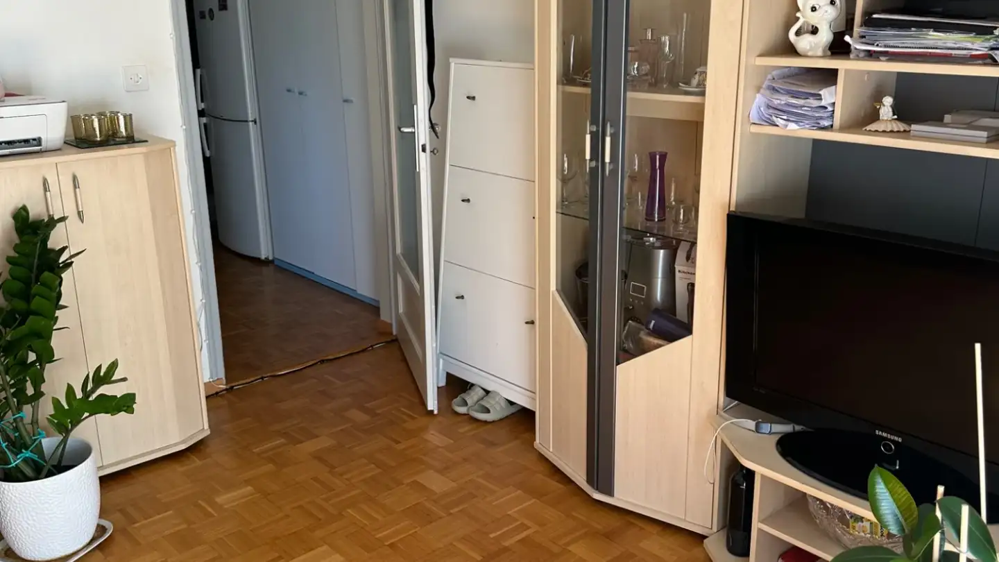 Appartamento in affitto - Route De Moudon 38, 1522 Lucens