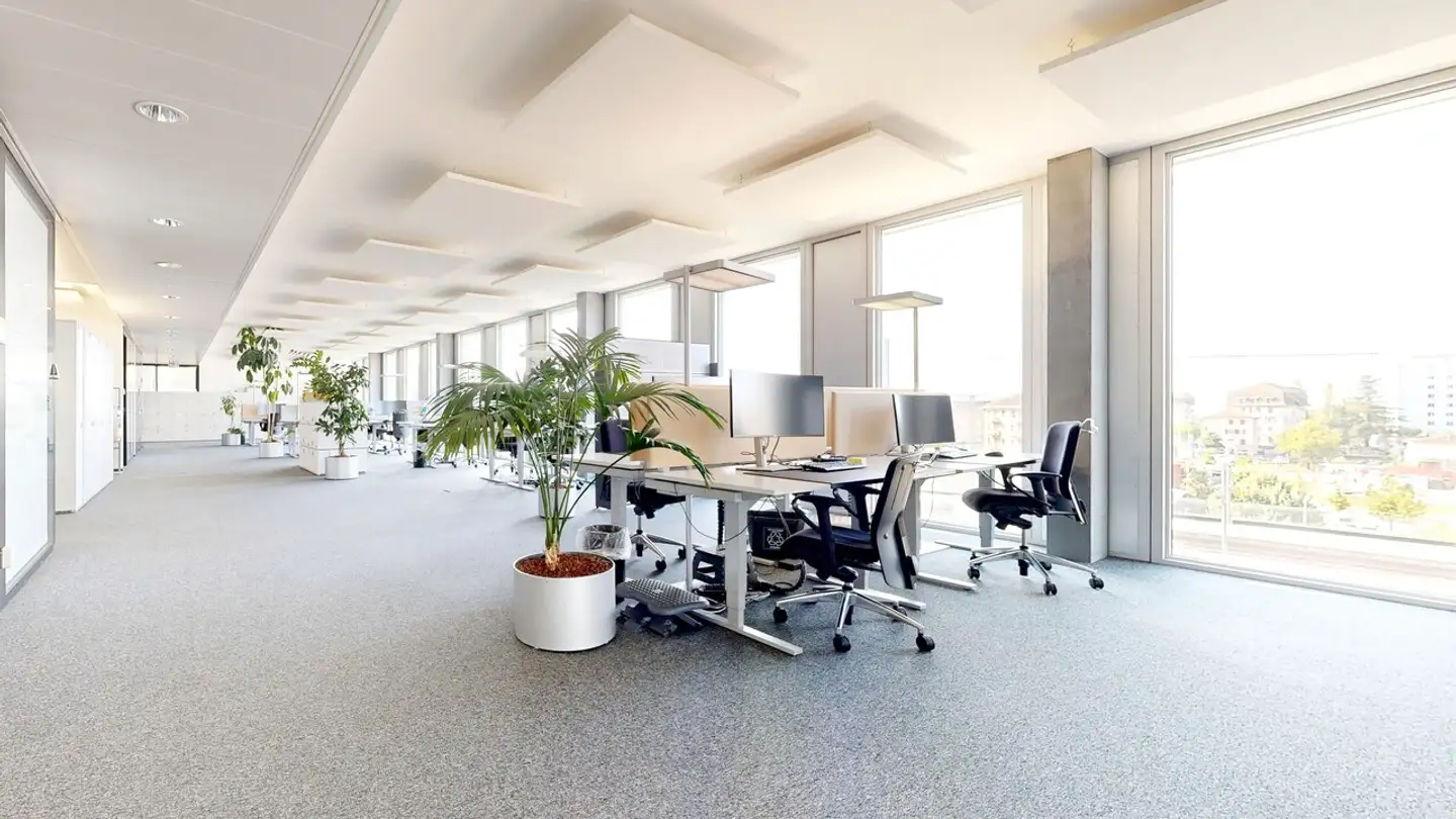 Office space for rent - Rue Du Grand-Pré, 1007 Lausanne