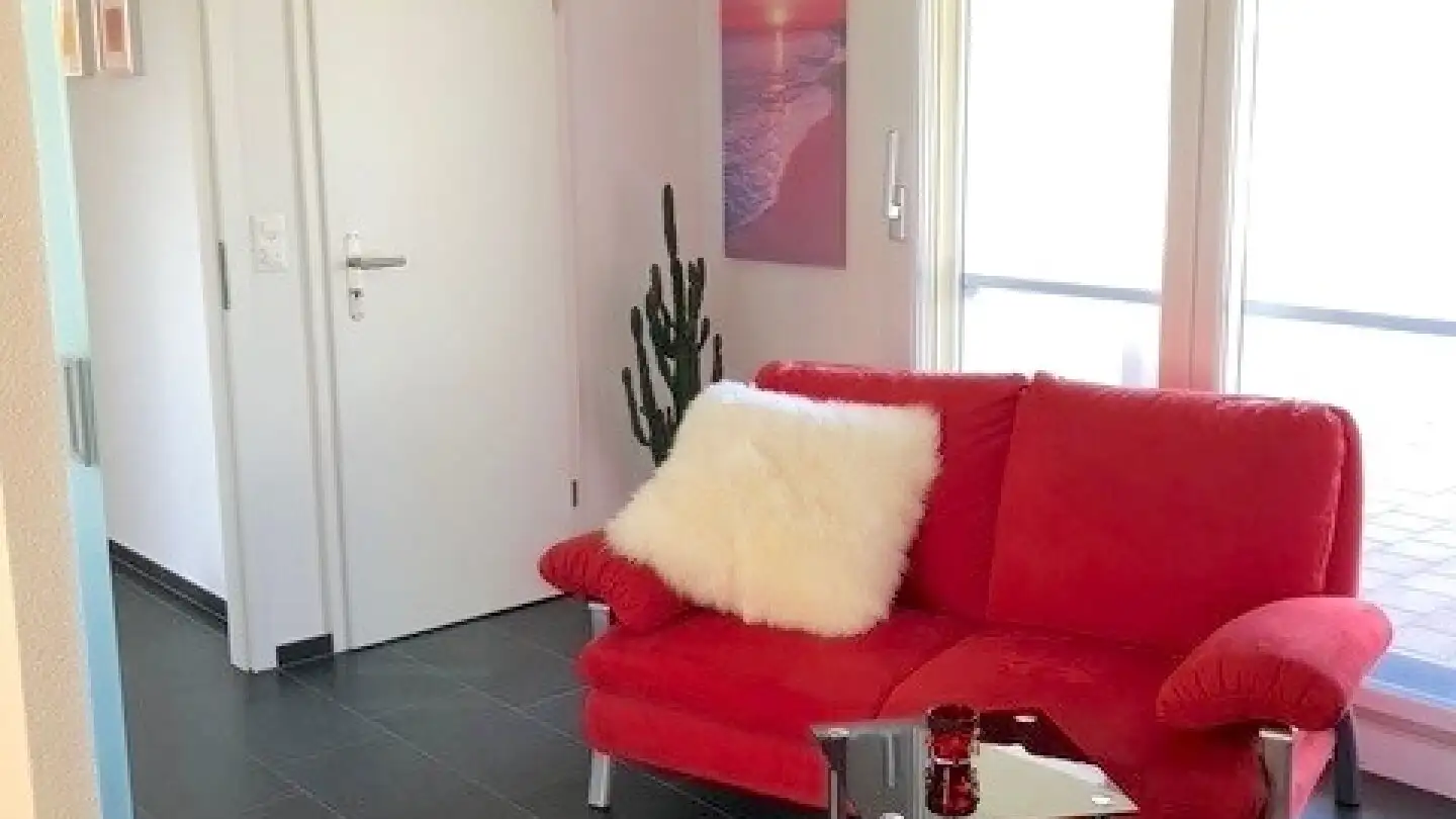 Penthouse for sale - 5606 Dintikon - Photo 4