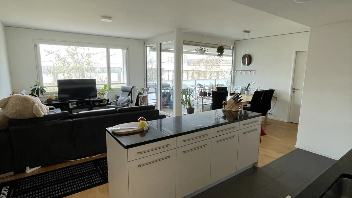 Chambre à louer - 8952 Schlieren - Photo 4