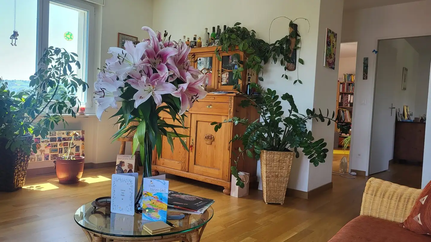 Chambre à louer - 8708 Männedorf - Photo 2
