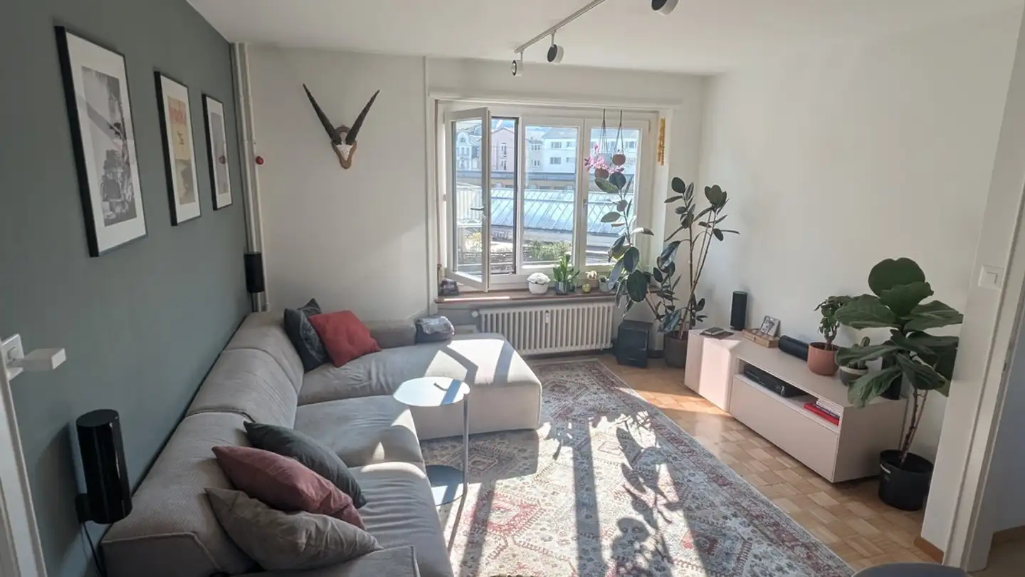 Stanza singola in affitto - 6003 Luzern