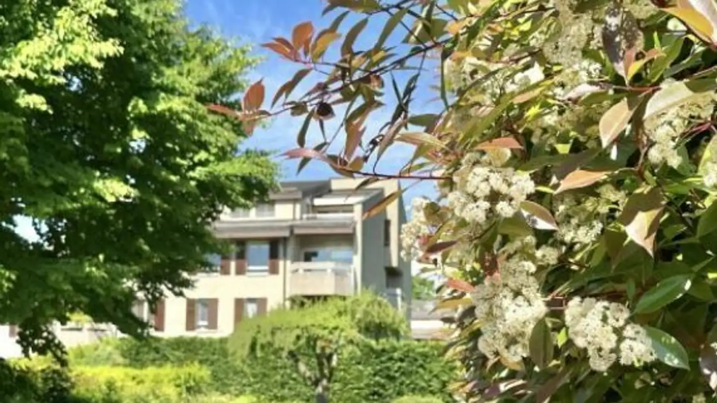 Appartamento in affitto - Chemin De Planta 15, 1223 Cologny - Foto 4