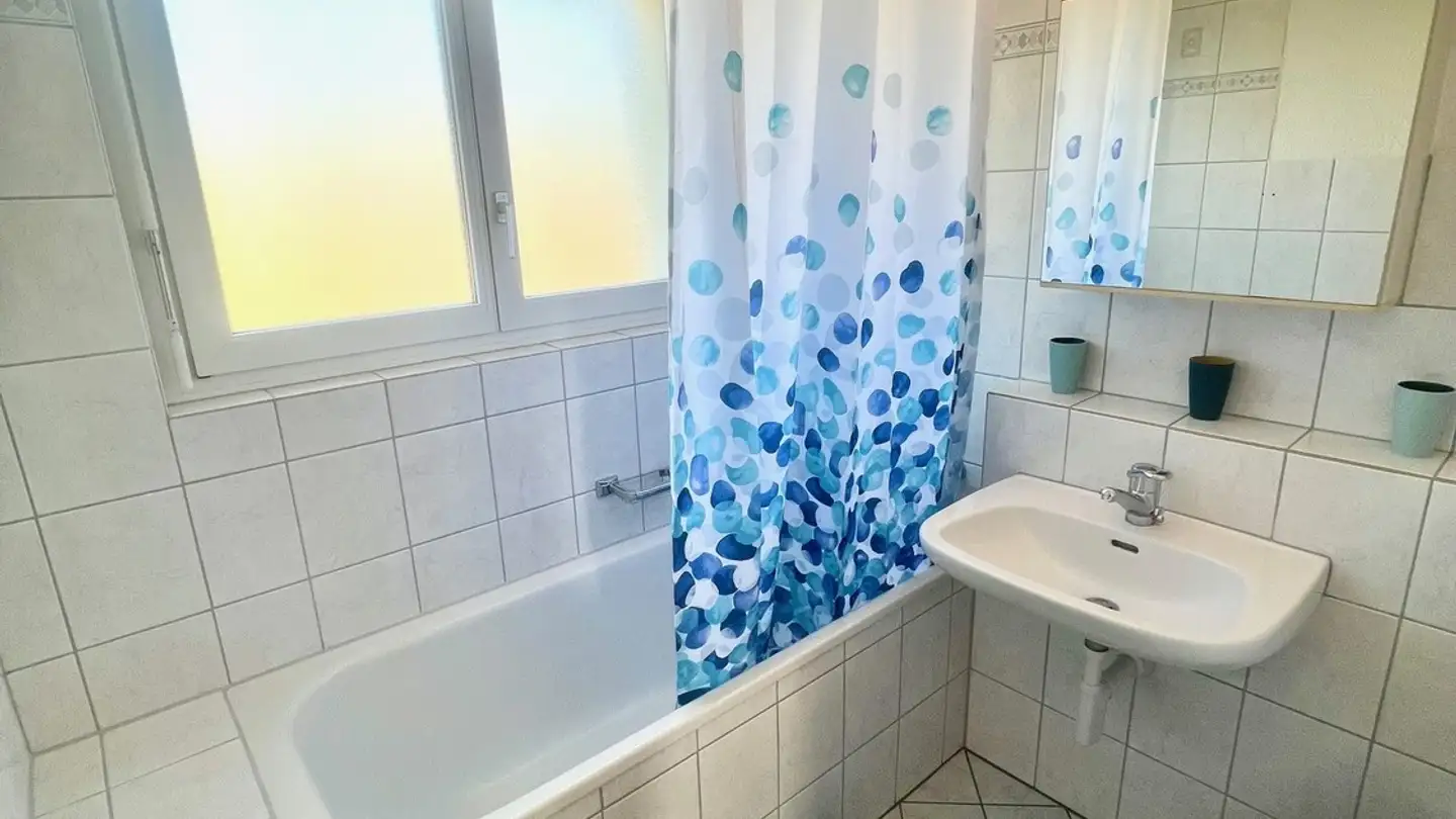 Stanza singola in affitto - Segantinistrasse 192, 8049 Zürich - Foto 4