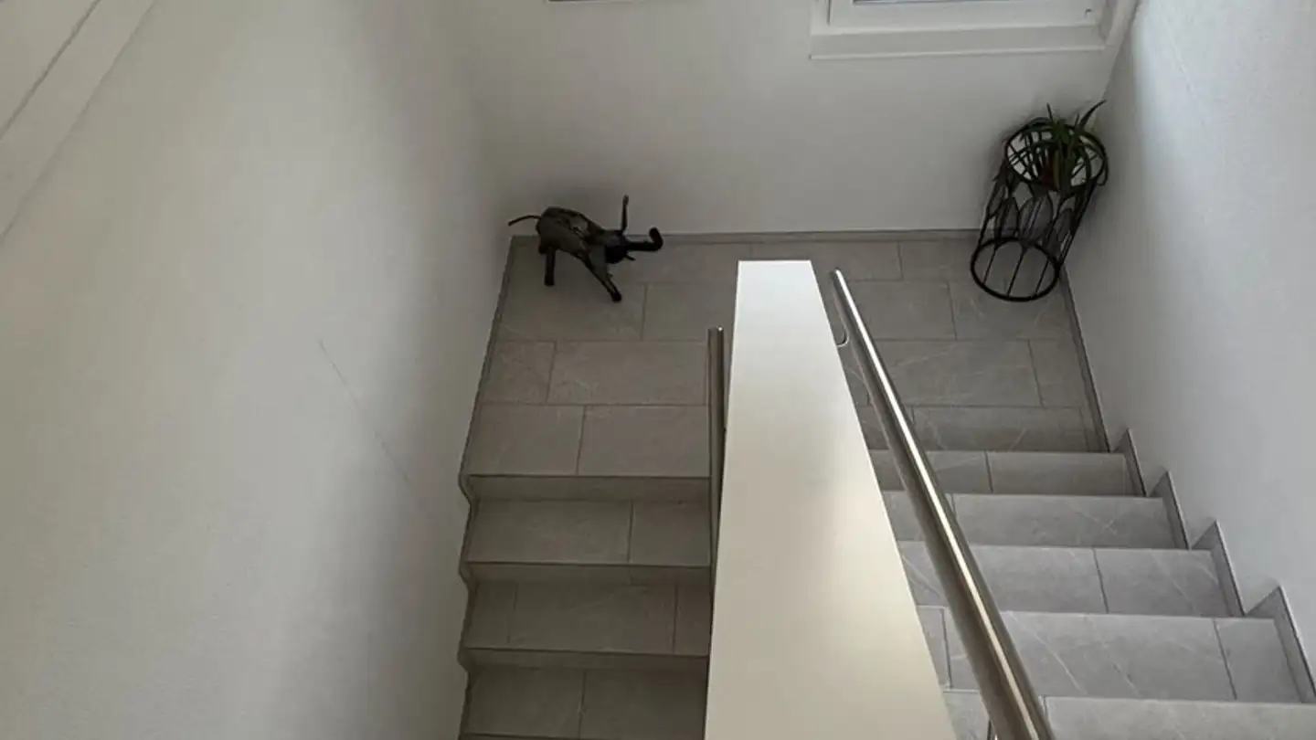 Appartement à louer - Römerweg 28b, 5420 Ehrendingen - Photo 3