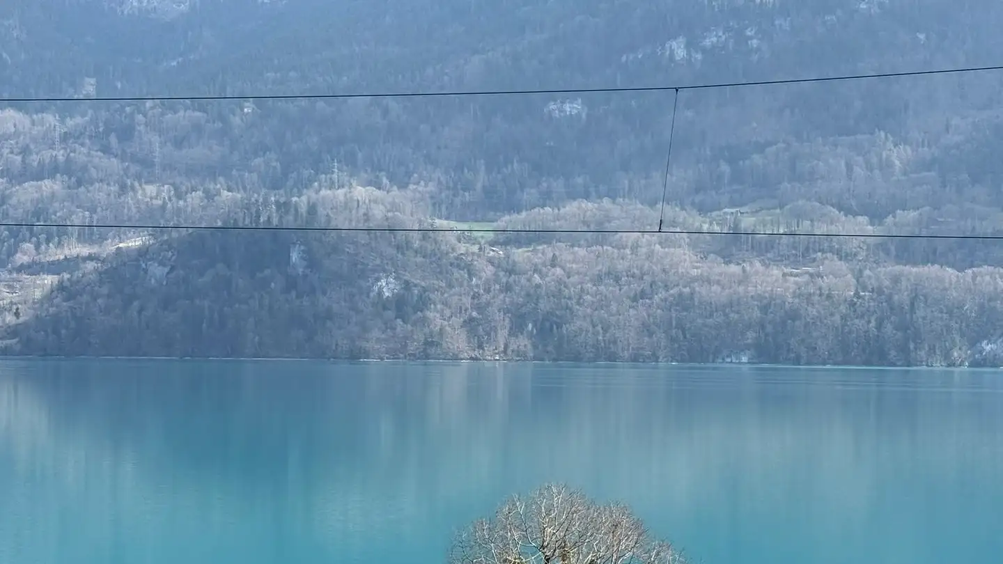 Doppelhaushälfte kaufen - Untere Gasse 6, 3853 Niederried b. Interlaken