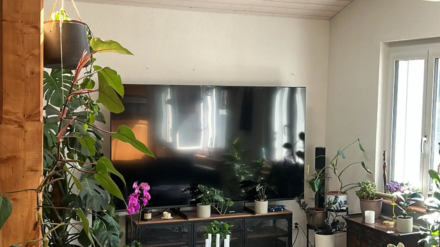Wohnung mieten - Linsebühlstrasse 105, 9000 St. Gallen