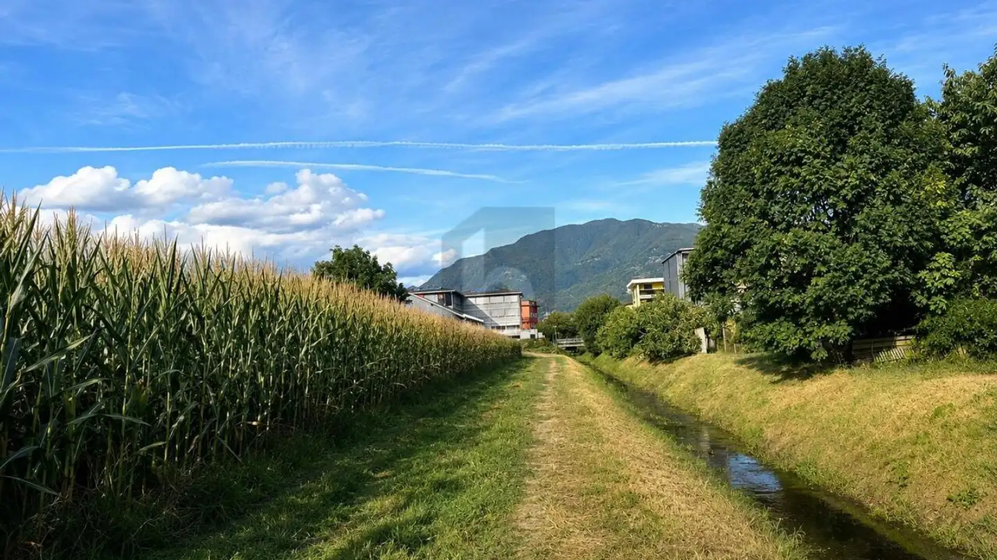 Constructible plot for sale - 6592 S. Antonino - Photo 4
