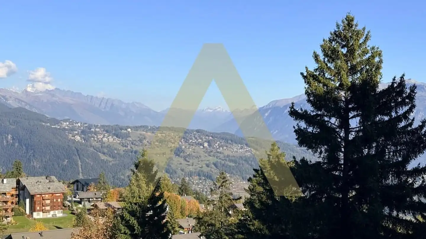 Commercial for sale - Route D'anzère, 1972 Anzère - Photo 4