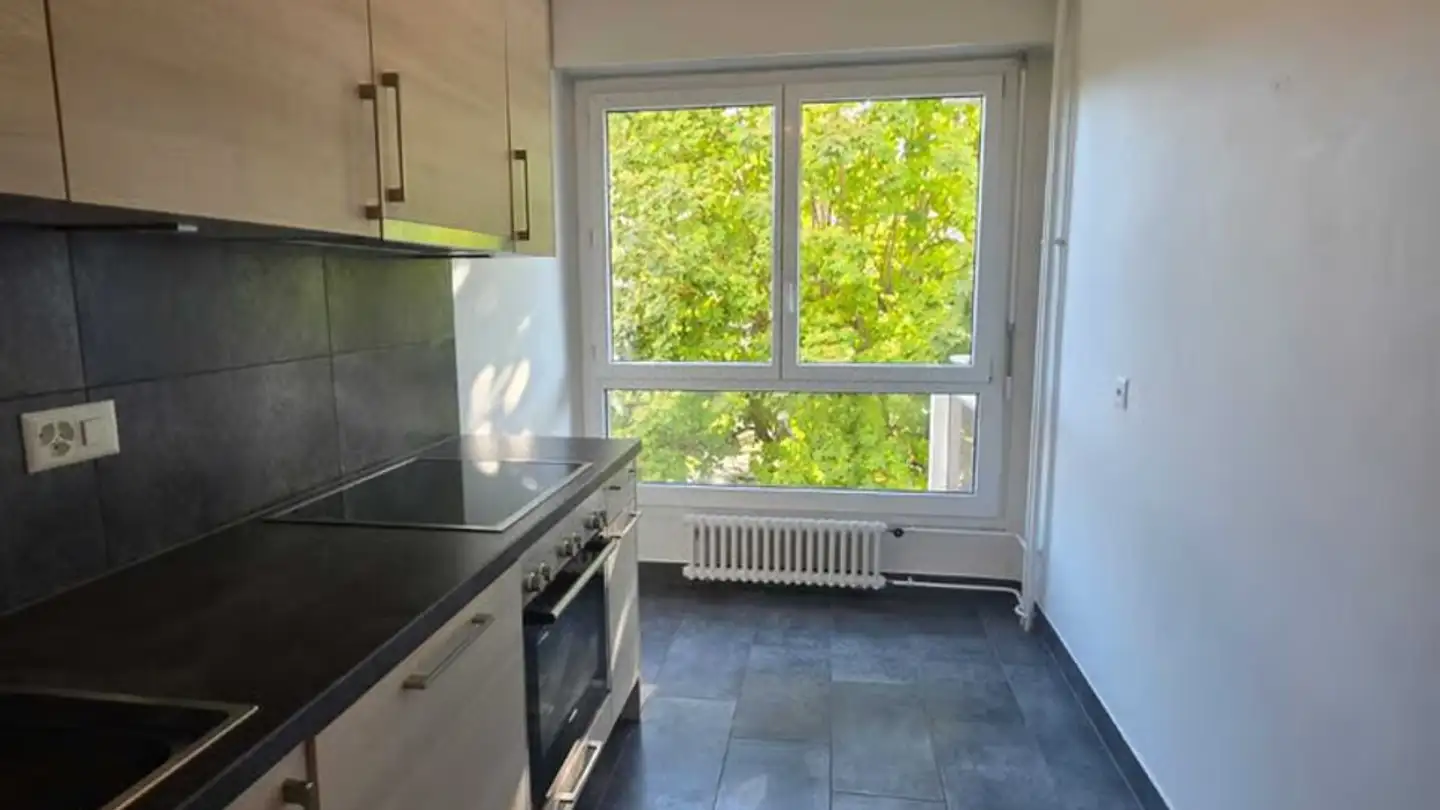 Wohnung mieten - Chemin De La Redoute 3, 1260 Nyon - Foto 2