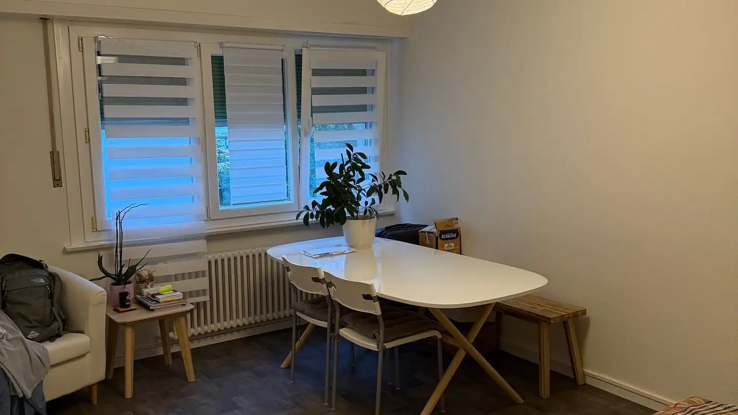 Wohnung mieten - Rue Saint-Roch 21, 1004 Lausanne