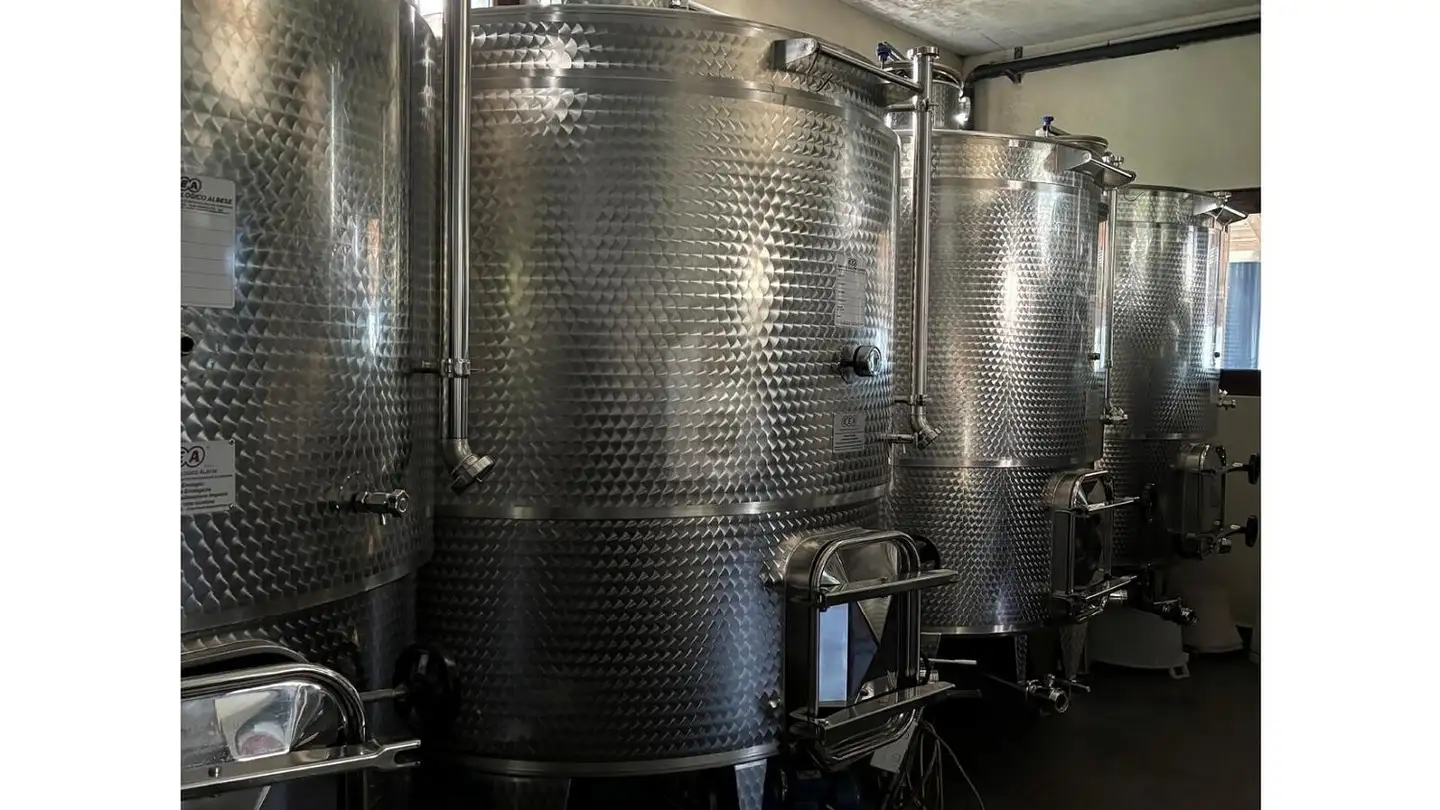 Fabbrica in affitto - 6514 Sementina - Foto 4