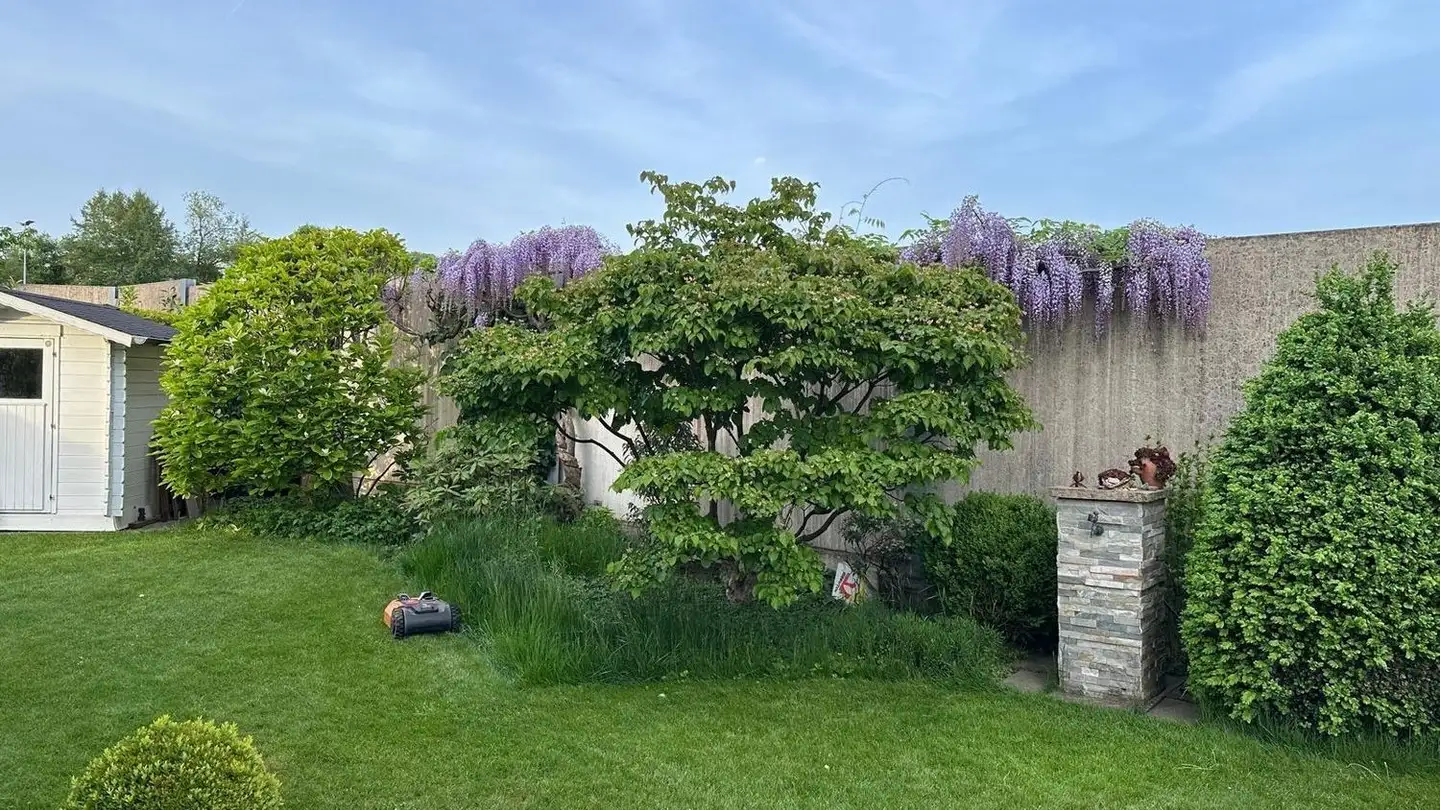 Reihenhaus kaufen - Ringstrasse 87, 8107 Buchs ZH - Foto 3