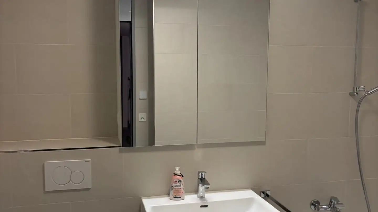 Appartement à louer - Dörflistrasse 4, 5706 Boniswil - Photo 3