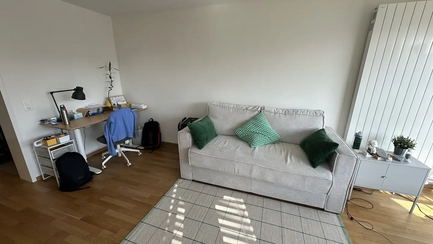 Appartamento in affitto - 9000 St. Gallen - Foto 4