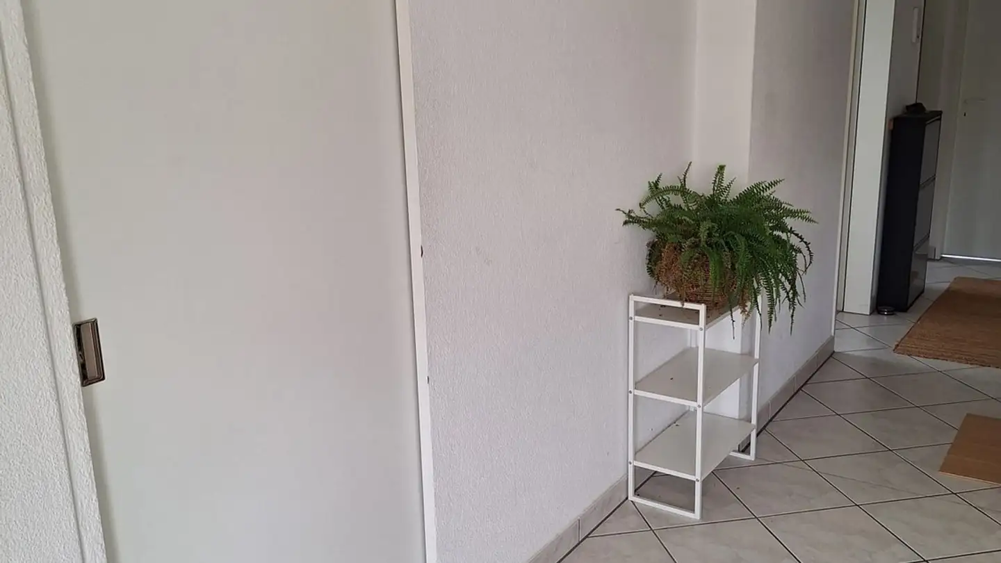 Single room for rent - 8600 Dübendorf - Photo 3