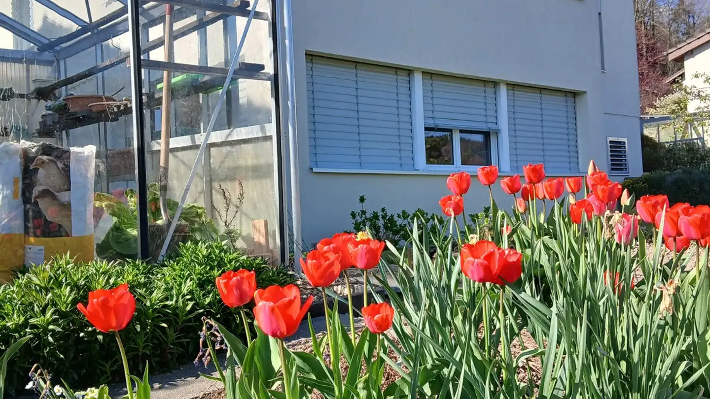 Apartment for rent - 6030 Ebikon - Photo 2