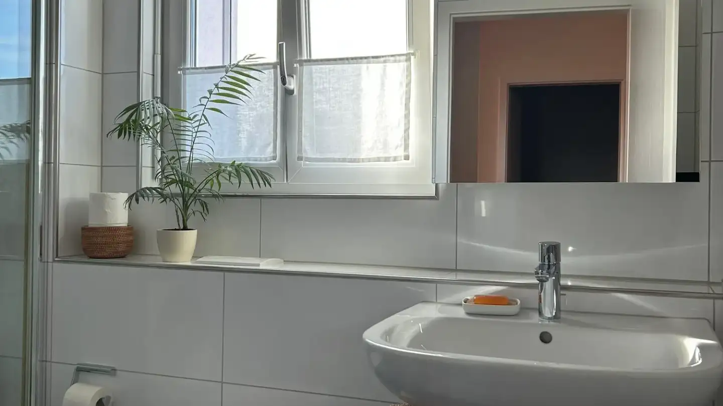 Attico in affitto - Seegräbnerstrasse 17, 8620 Wetzikon ZH