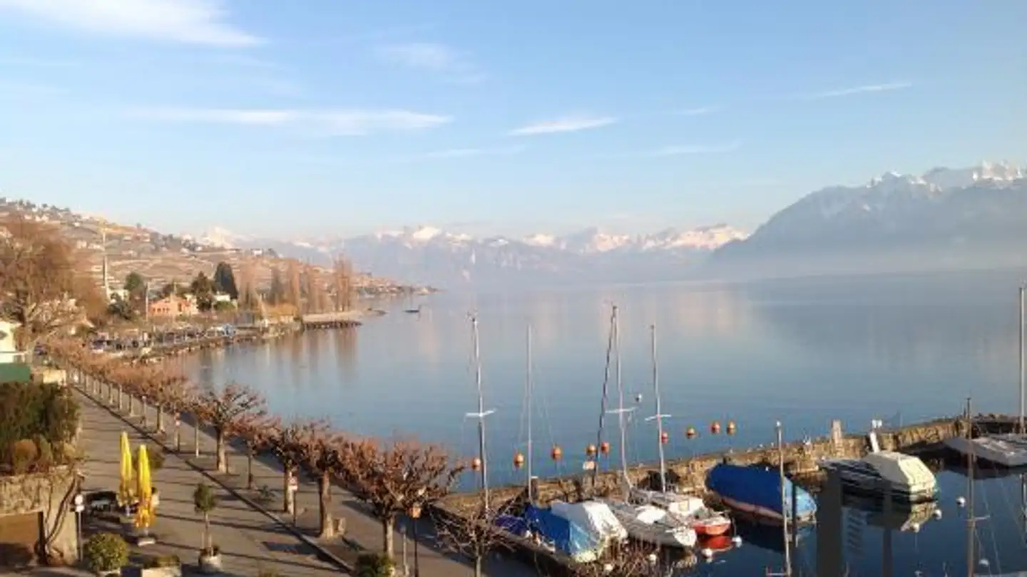 Wohnung kaufen - Route de Taillepied, 1095 Lutry - Foto 2