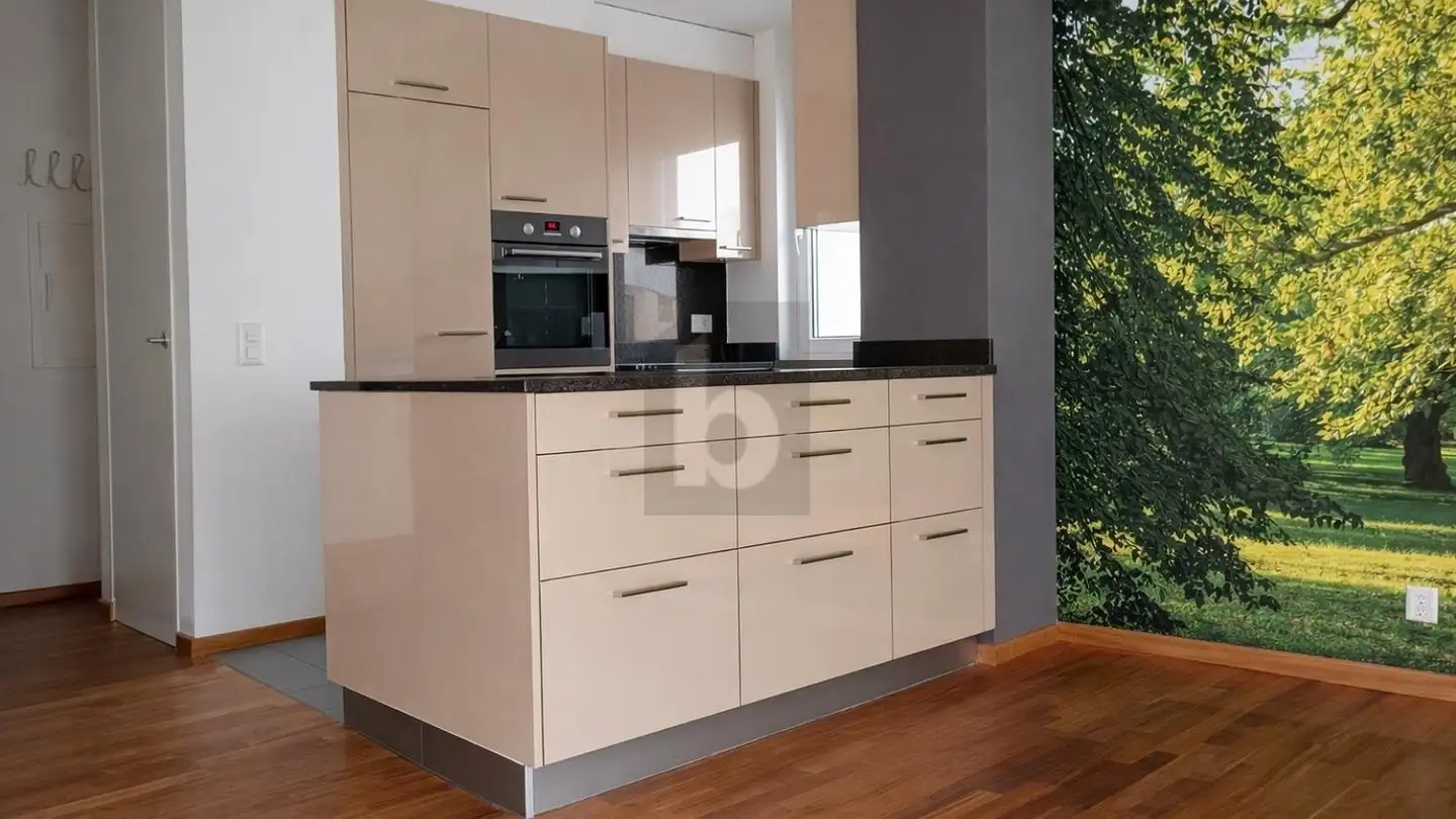 Penthouse for rent - 1950 Sion - Photo 3