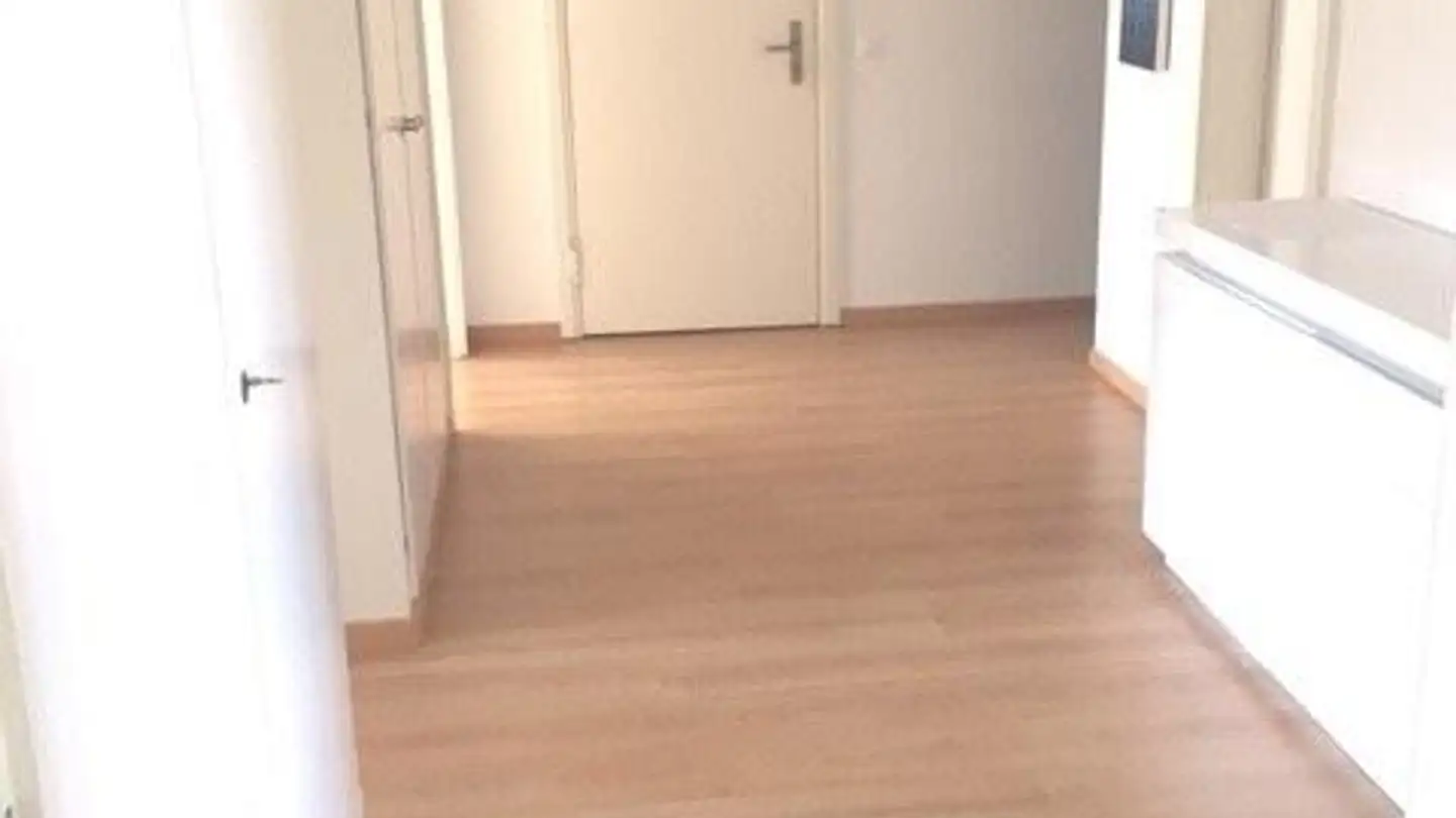 Appartement à louer - Tödistrasse 70, 8800 Thalwil - Photo 4
