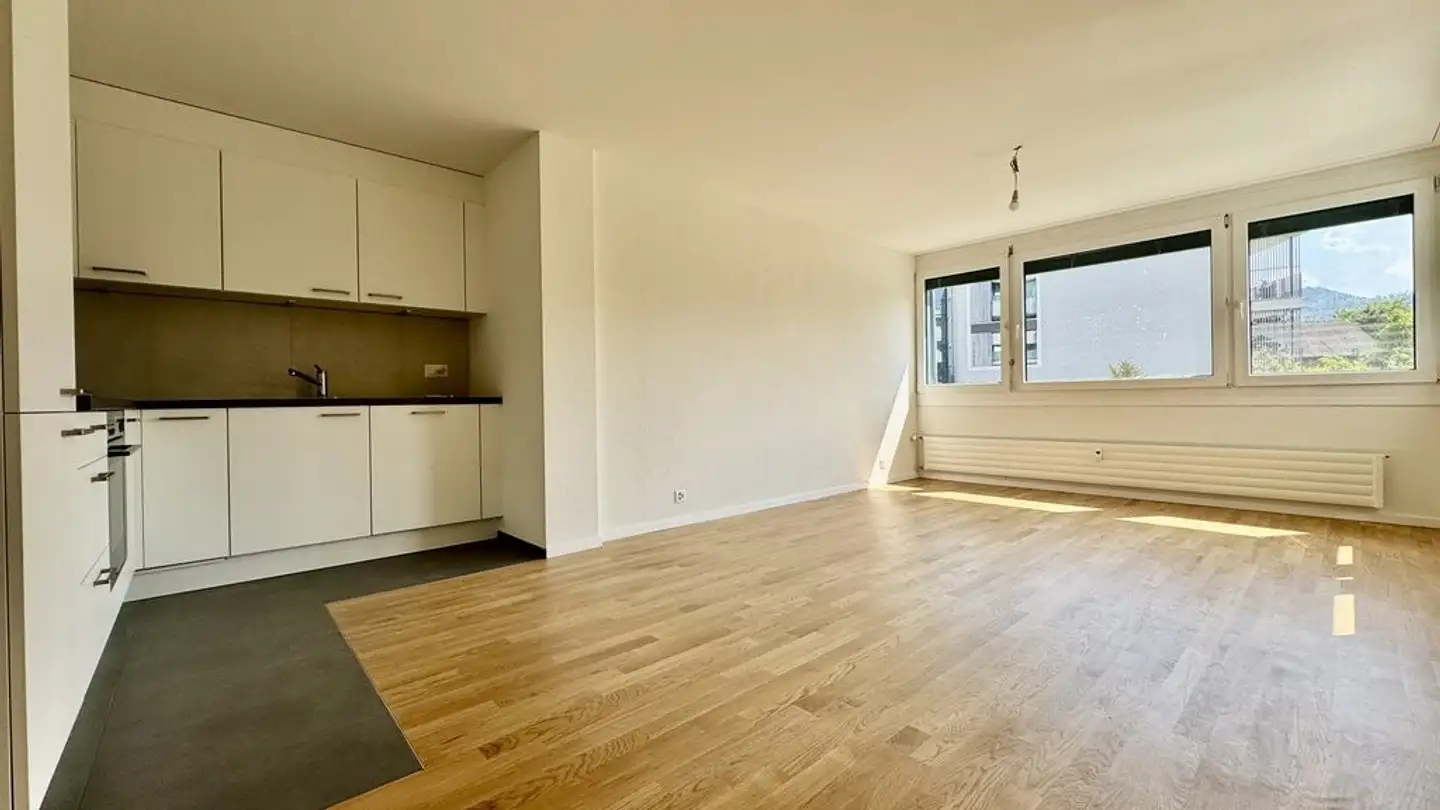 Apartment for rent - Brislachstrasse 2, 4242 Laufen - Photo 3