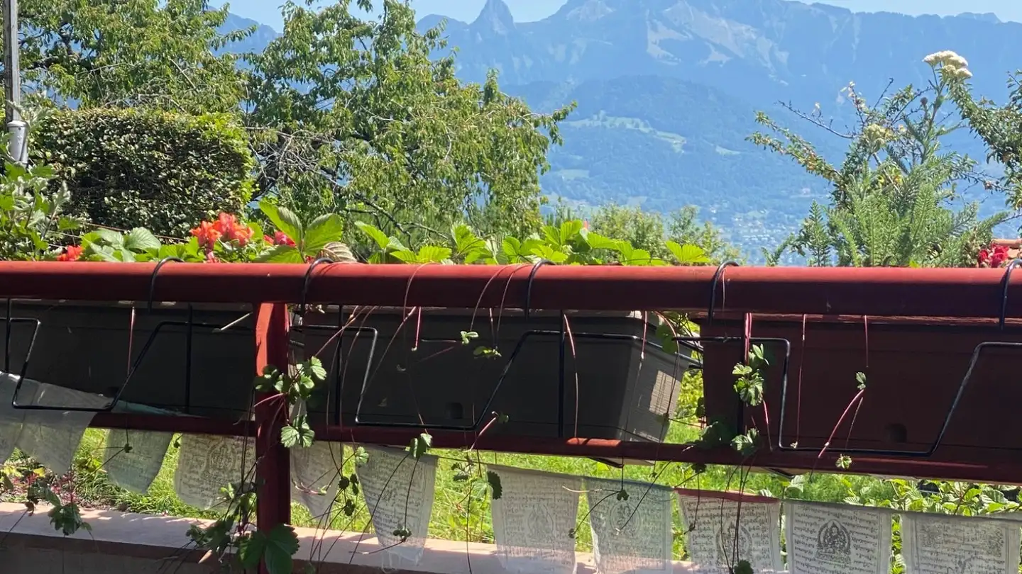 Chambre à louer - 1801 Le Mont-Pèlerin - Photo 4