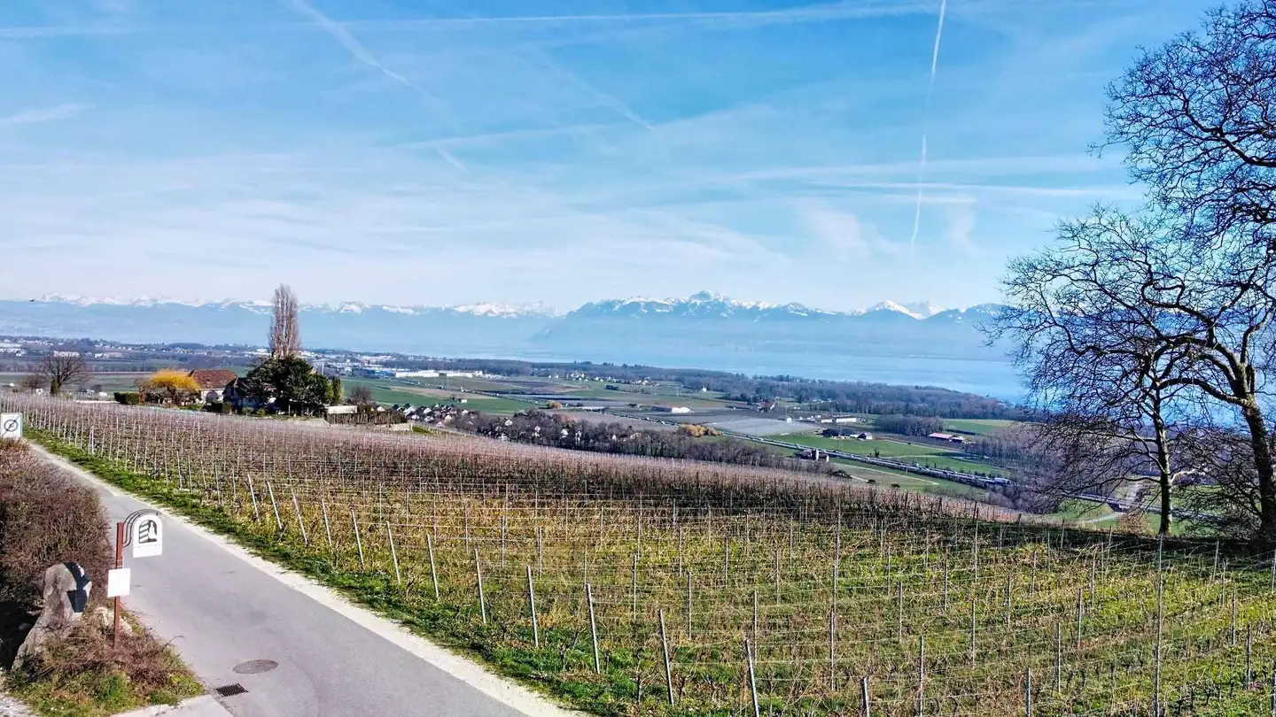 Single house for sale - 1172 Bougy-Villars - Photo 2