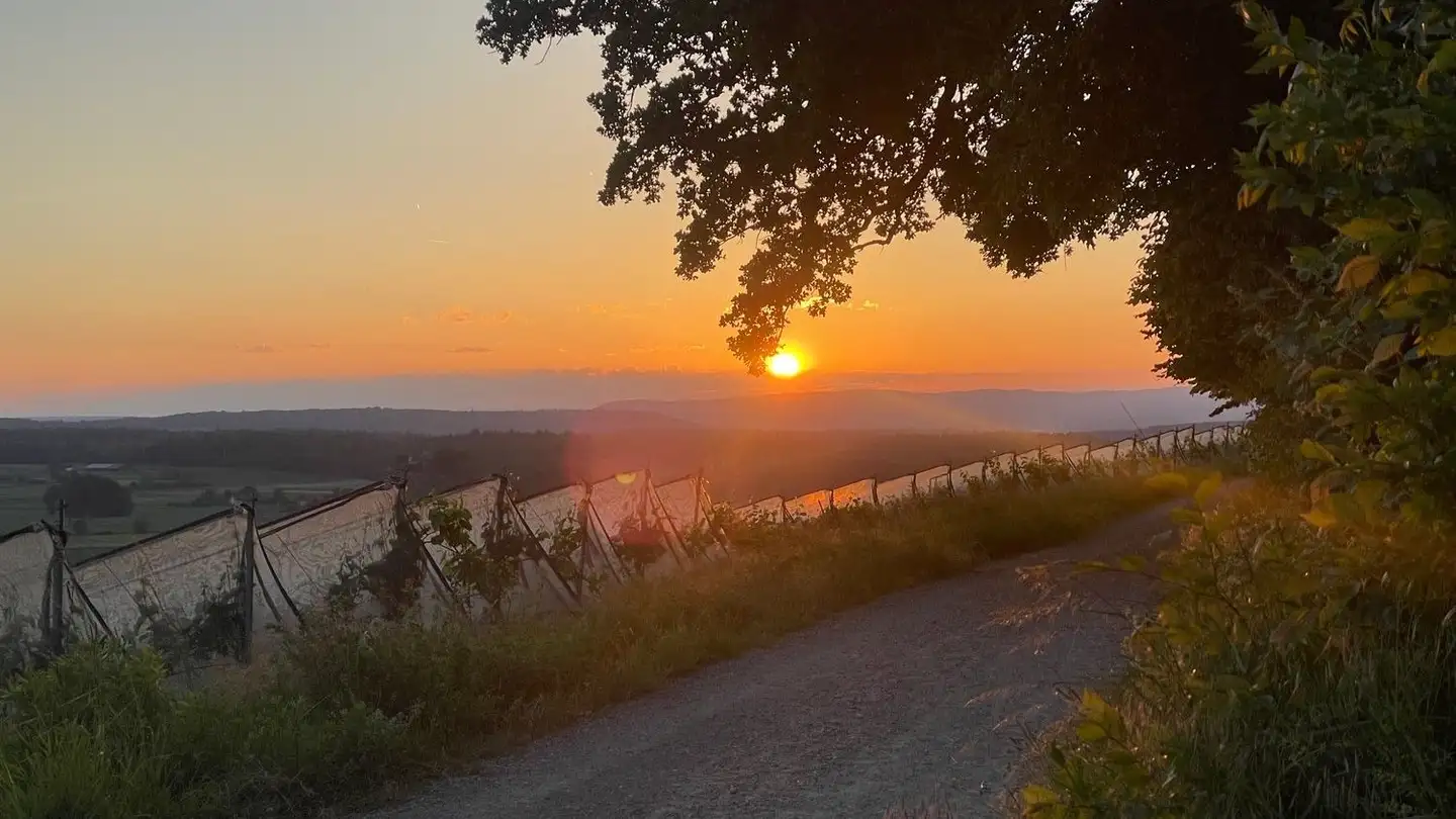 Wohnung kaufen - Kirchweg 10A, 8476 Unterstammheim