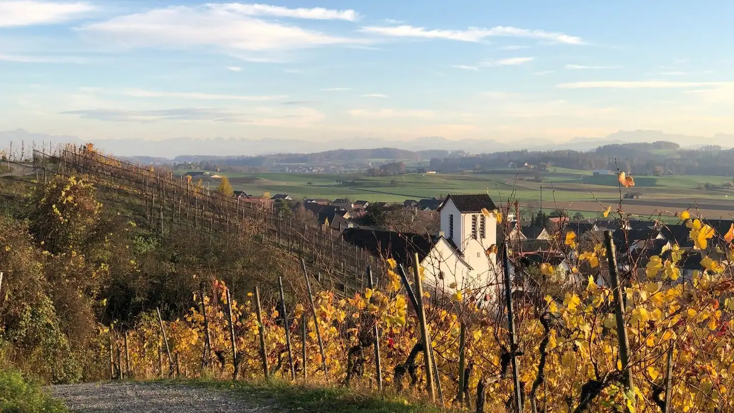 Wohnung kaufen - Kirchweg 10A, 8476 Unterstammheim - Foto 3
