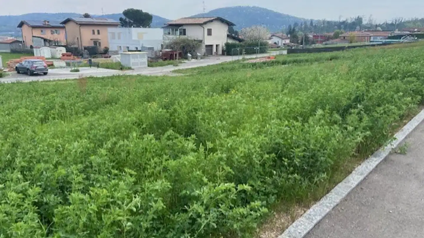 Constructible plot for sale - 6855 Stabio - Photo 4