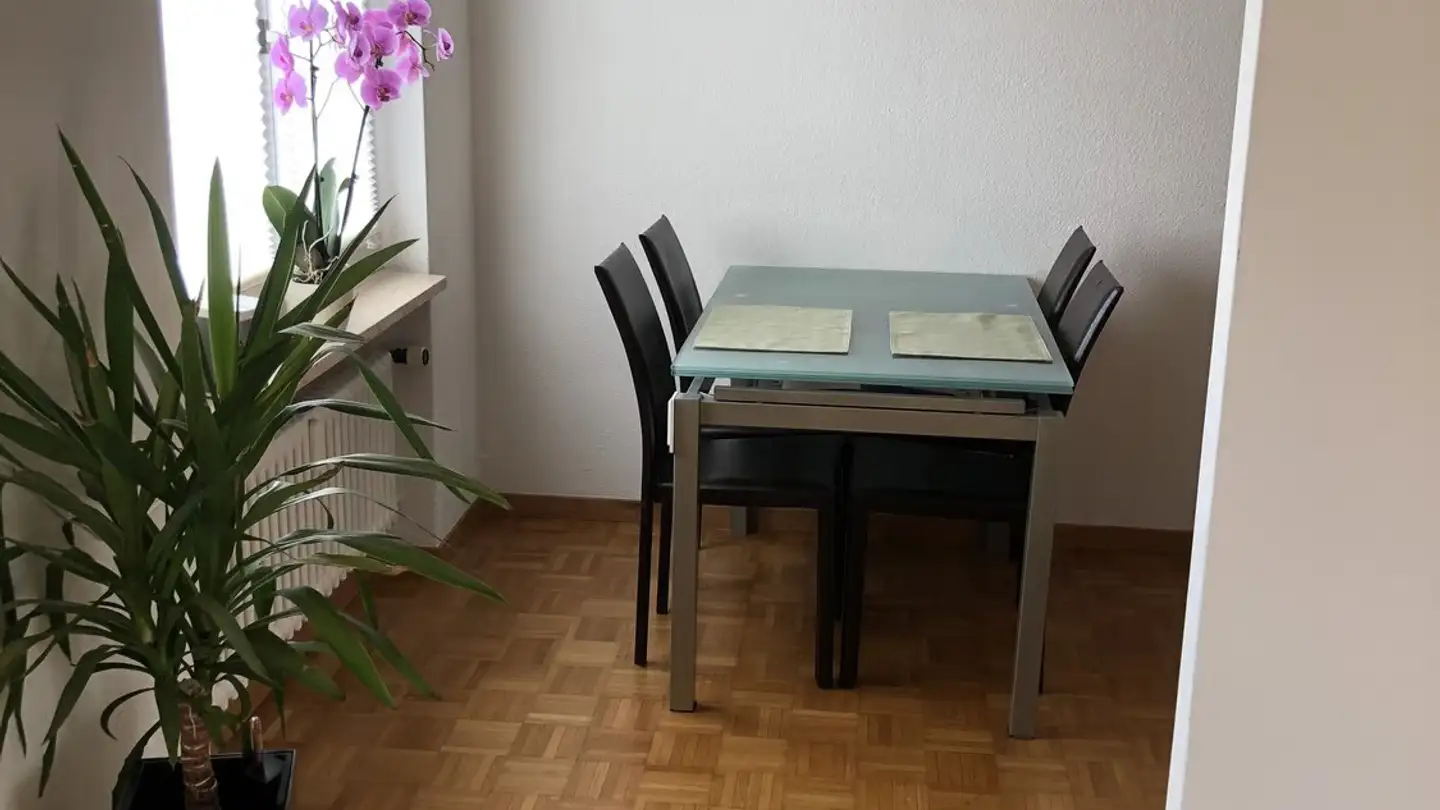 Möblierte Wohnung mieten - St. Gallerstrasse 42, 8853 Lachen SZ - Foto 4