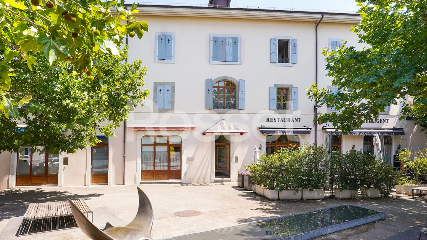 Arcade for rent - Rue Jacques- Dalphin 11, 1227 Carouge GE