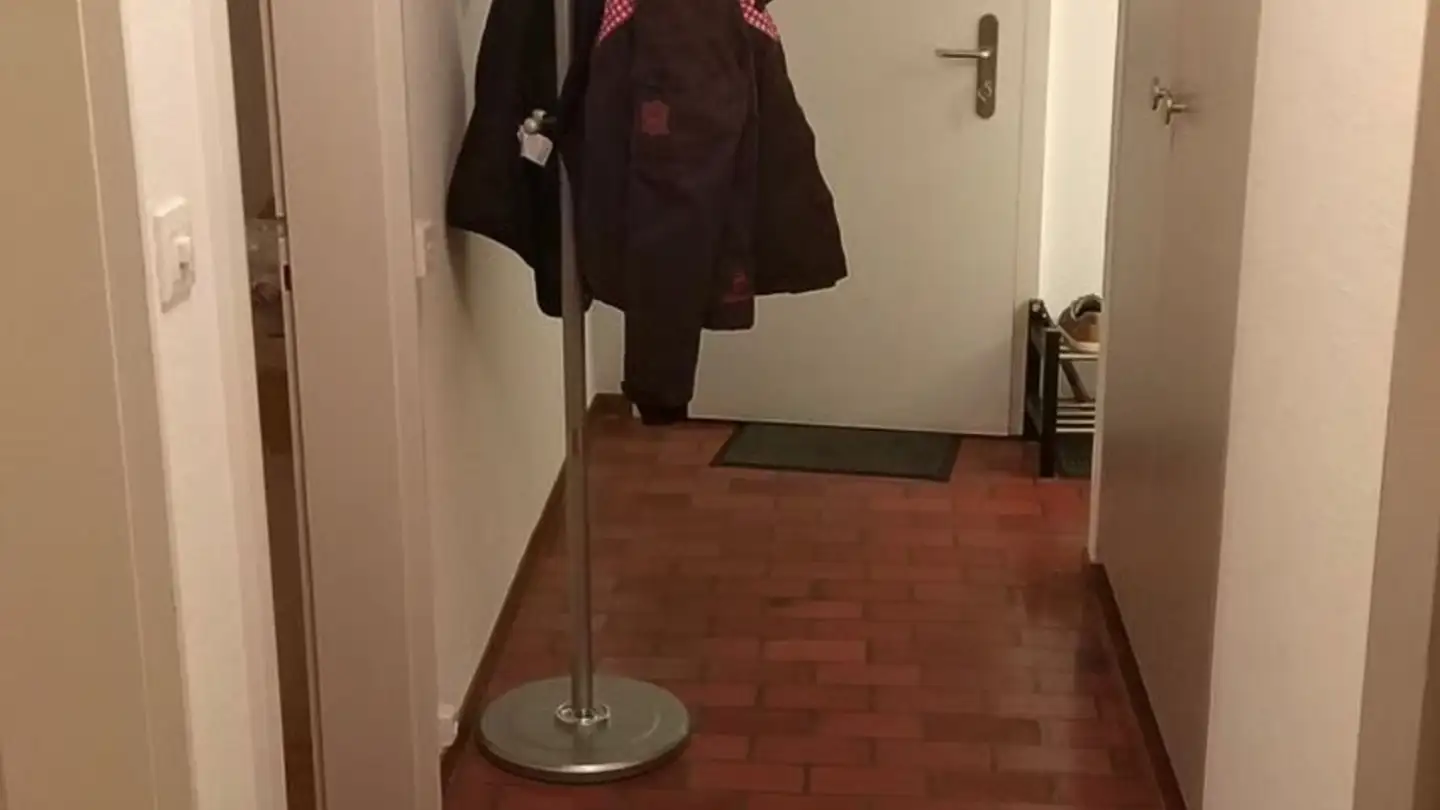Appartement meublé à louer - Hönggerstrasse 9, 8102 Oberengstringen - Photo 2