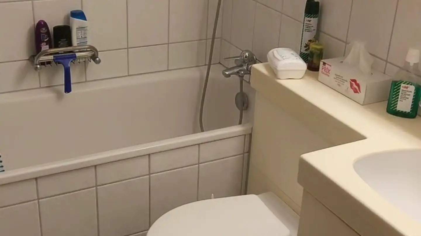 Appartement meublé à louer - Hönggerstrasse 9, 8102 Oberengstringen - Photo 3