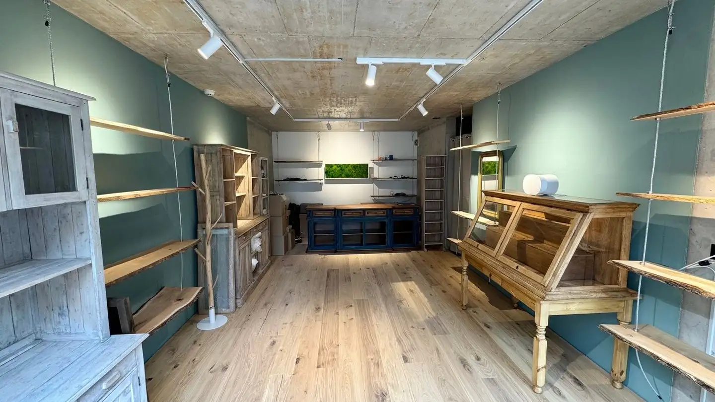 Negozio in affitto - Rue Des Côtes-De-Montbenon, 1003 Lausanne