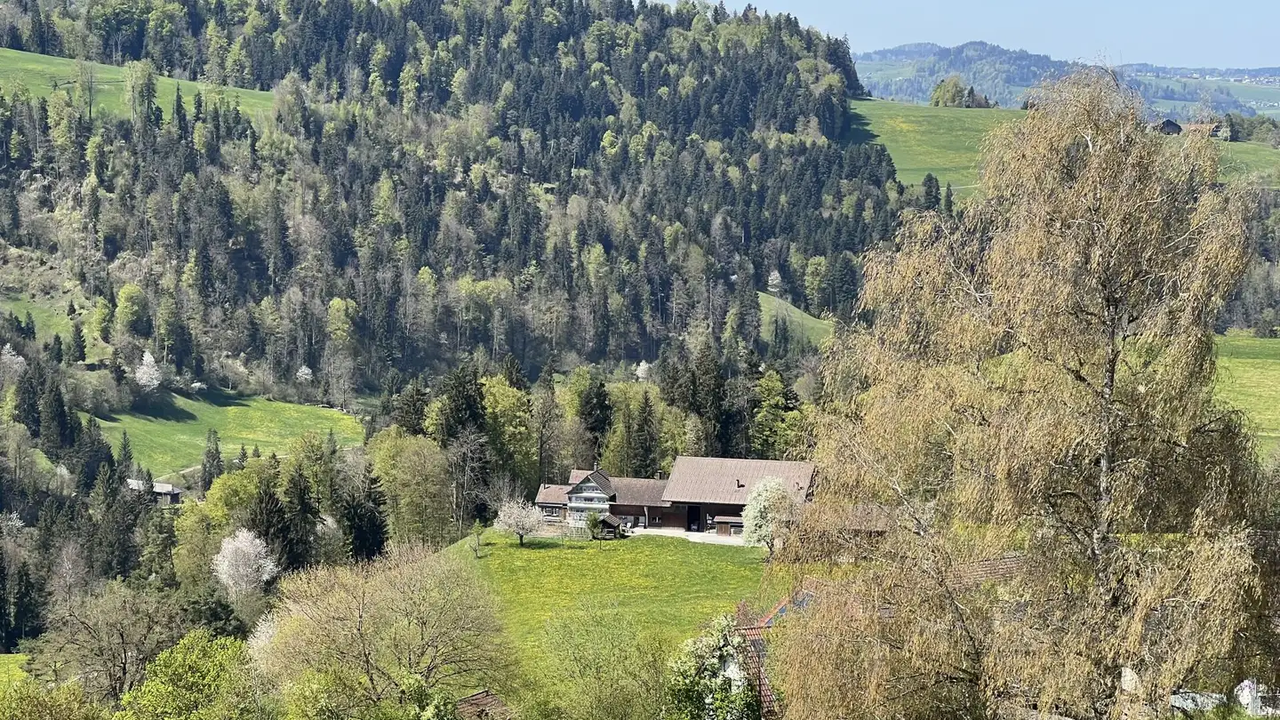 Attico in vendita - Ochsenstrasse, 9122 Mogelsberg