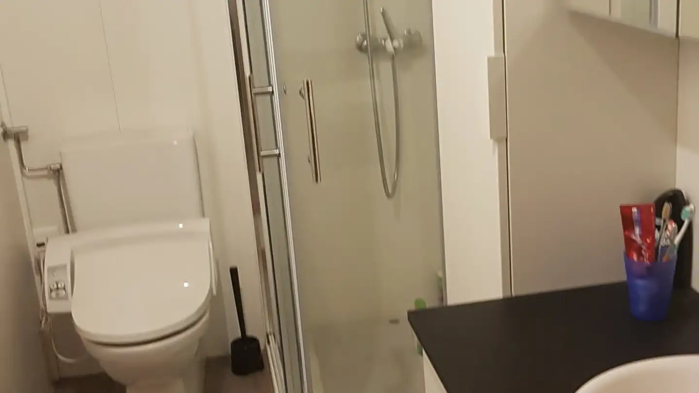 Appartement à louer - Hindereseggen 17, 3715 Adelboden - Photo 2