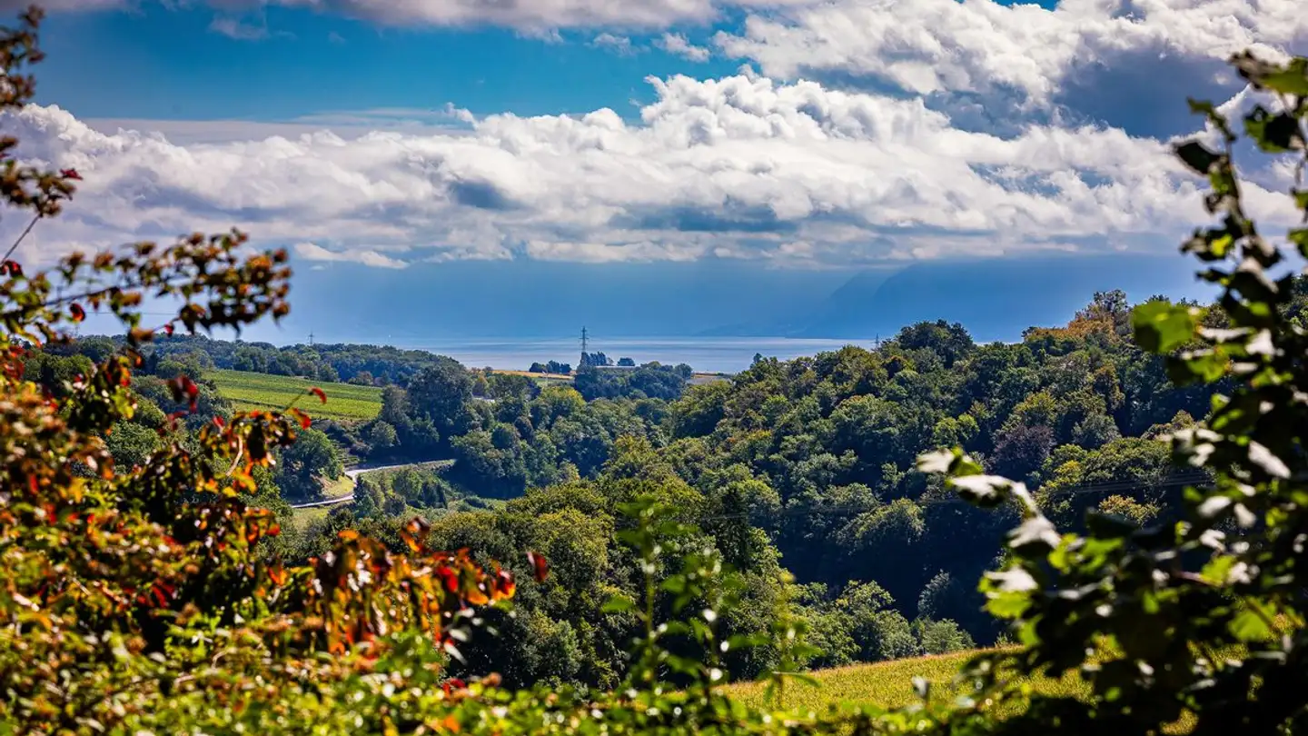 Single house for sale - 1170 Aubonne