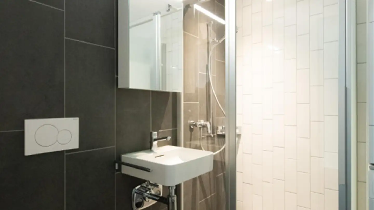 Commercial for rent - Ueberlandstrasse 222, 8600 Dübendorf - Photo 4