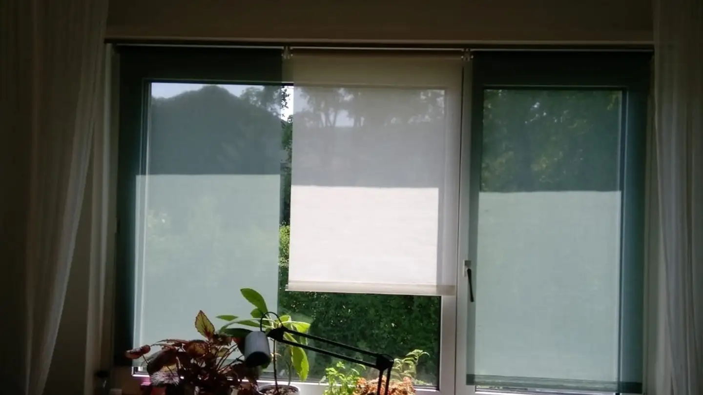 Zimmer mieten - Luegislandstrasse 237, 8051 Zürich - Foto 4