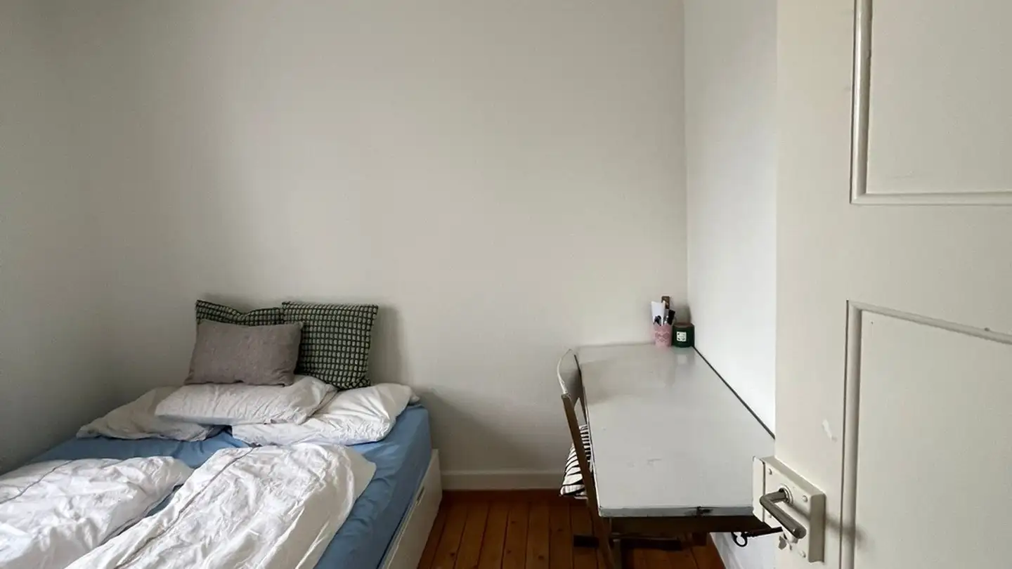 Chambre à louer - Magdalenenstrasse 45, 8050 Zürich