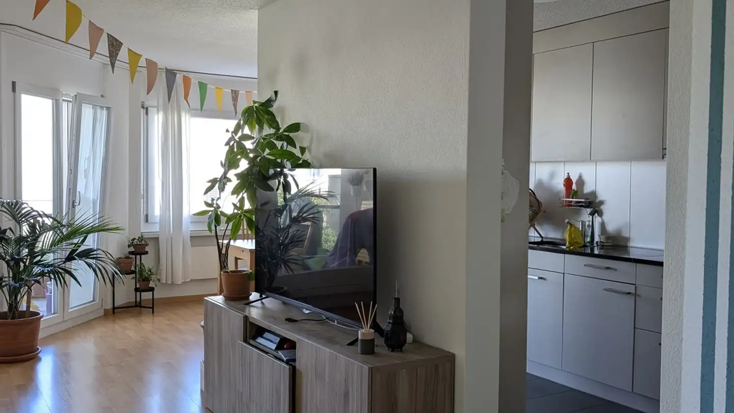 Apartment for rent - Im Oberen Boden 9, 8049 Zürich - Photo 3