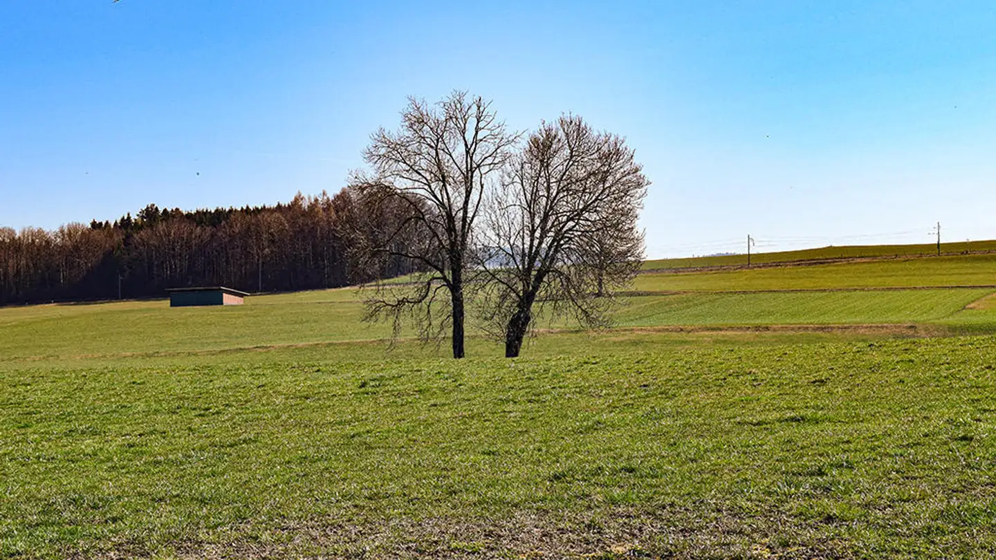 Villa kaufen - 1083 Mézières VD