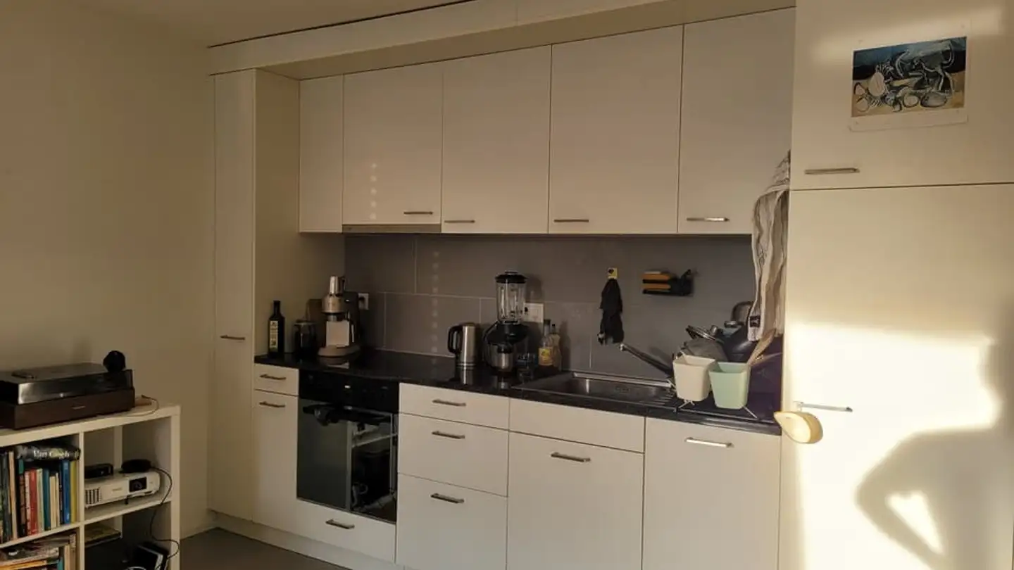 Appartamento in affitto - Chemin Des Diablerets 11, 1012 Lausanne - Photo 3