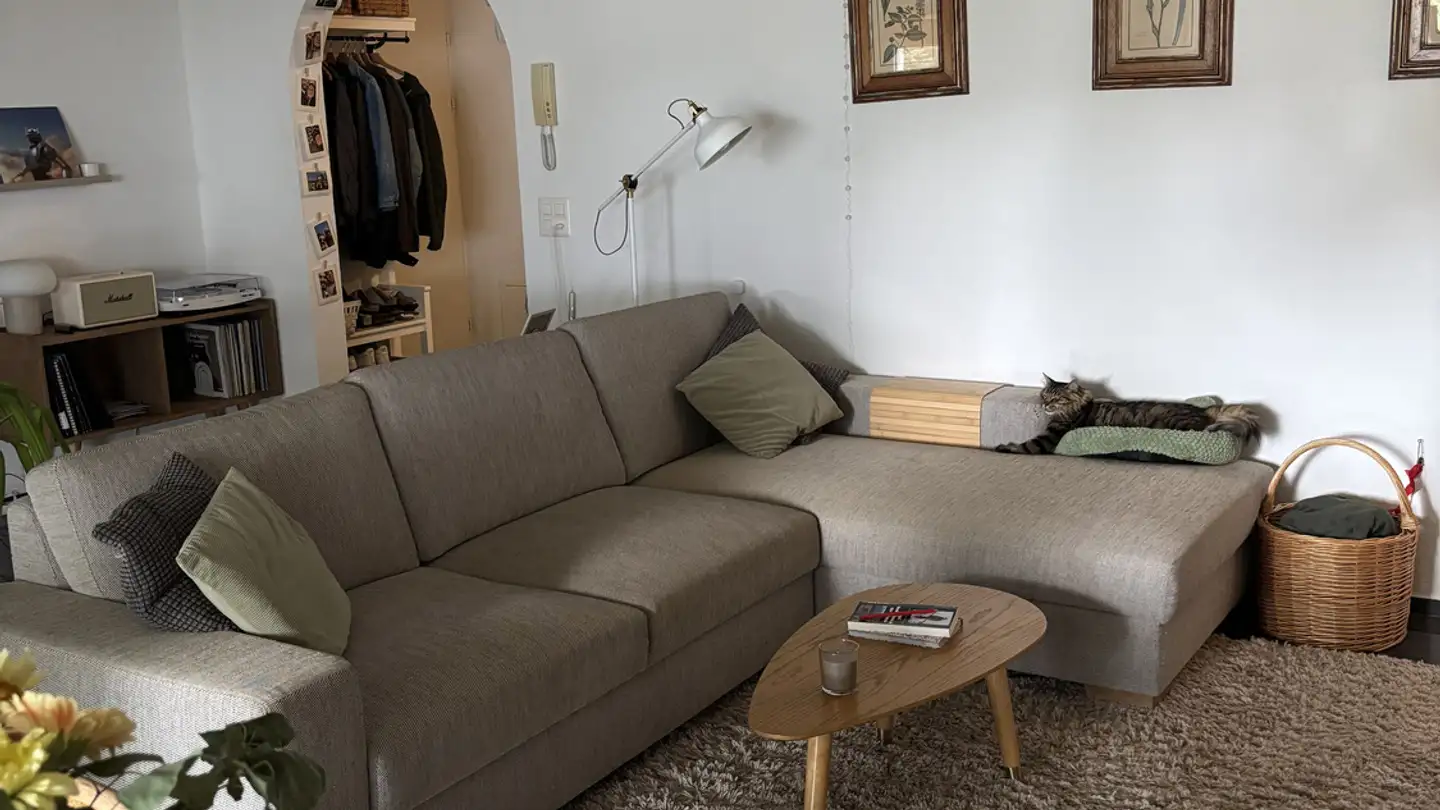 Furnished apartment for rent - 4562 Biberist