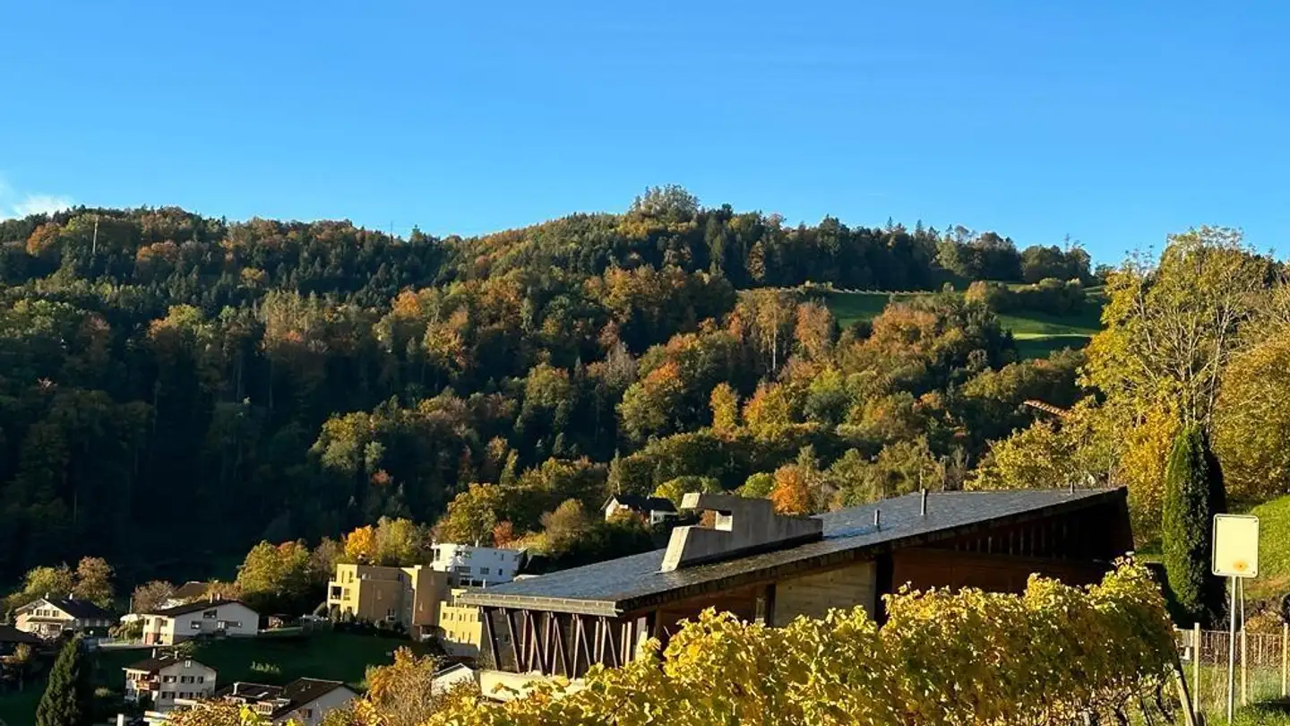 Casa singola in affitto - Rötibergstrasse 14, 9442 Berneck